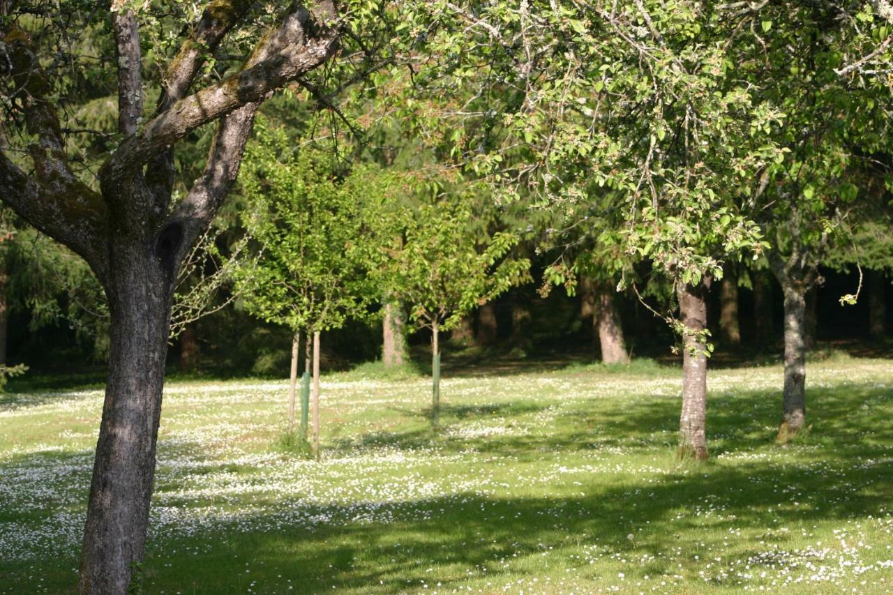 Les Charlotieres Villa Chailles  Екстериор снимка
